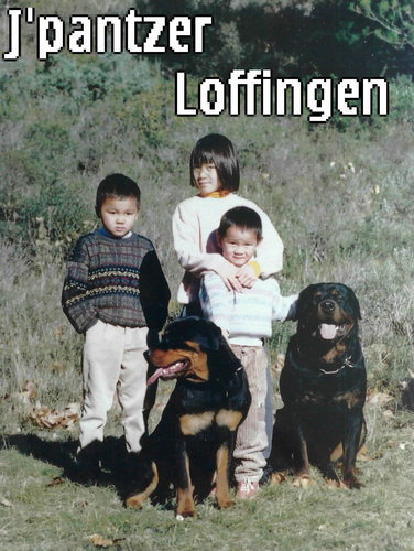 Les chiens ayant appartenu à l élevage